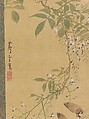 Sparrows Alighting on Wisteria, Nagasawa Rosetsu (Japanese, 1754–1799), Hanging scroll; ink and color on silk, Japan